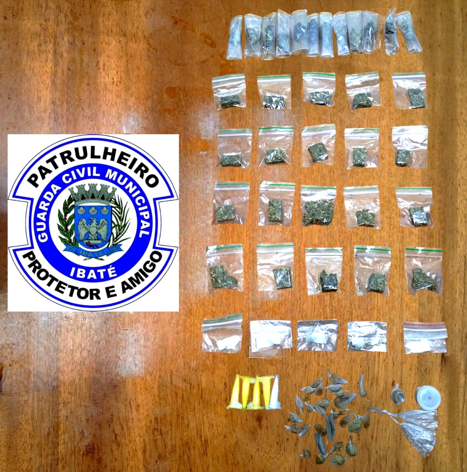 Guarda Municipal encontra drogas escondidas em terreno baldio no Jardim Cruzado