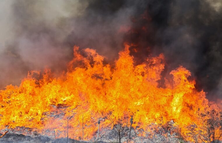 Dentista acusado de provocar incêndio em área de mata tem prisão preventiva decretada em São Carlos