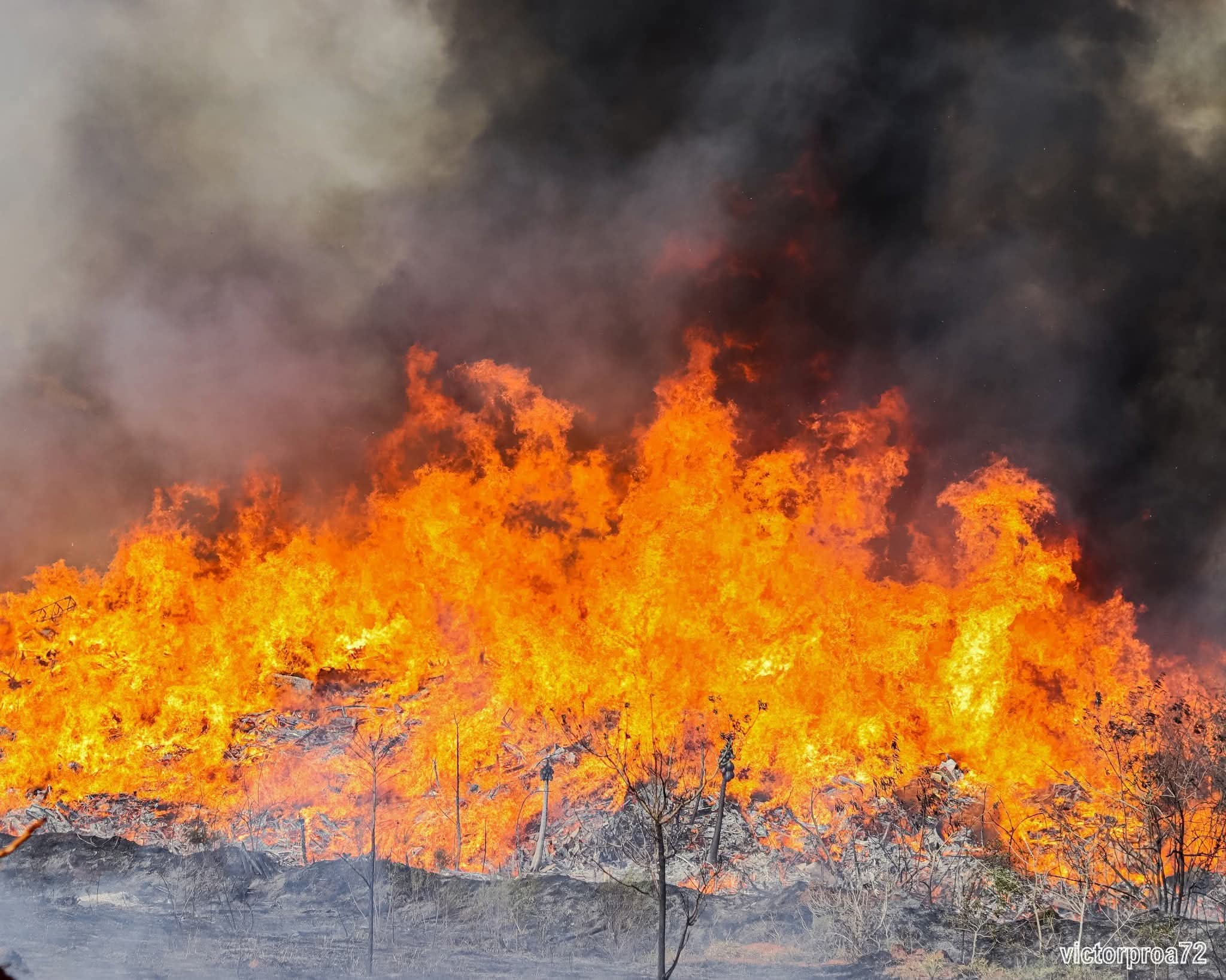 Dentista acusado de provocar incêndio em área de mata tem prisão preventiva decretada em São Carlos