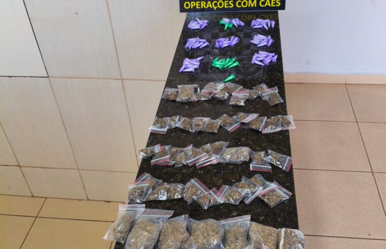 Operação da GCM com apoio canino resulta em apreensão de drogas