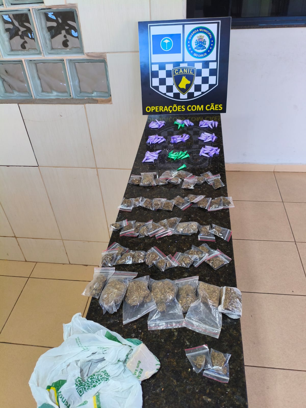 Operação da GCM com apoio canino resulta em apreensão de drogas