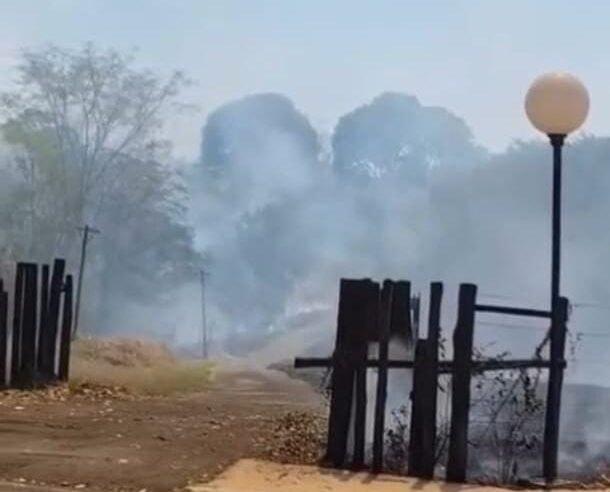 Incêndio atinge área de mata no bairro Santa Marta nesta quinta-feira (11)