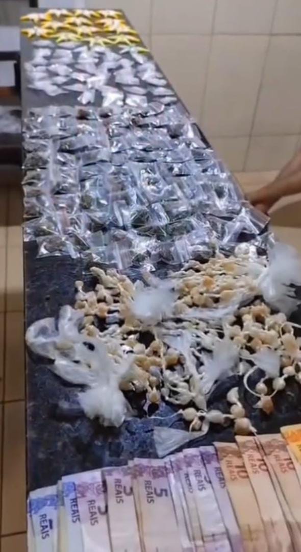 Força Tática e Canil do BAEP realizam operação e detêm suspeitos de tráfico no CDHU em São Carlos