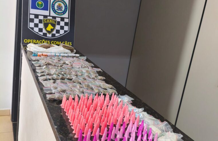 Guarda Municipal de São Carlos localiza grande quantidade de entorpecentes em área de preservação no Jockey Club