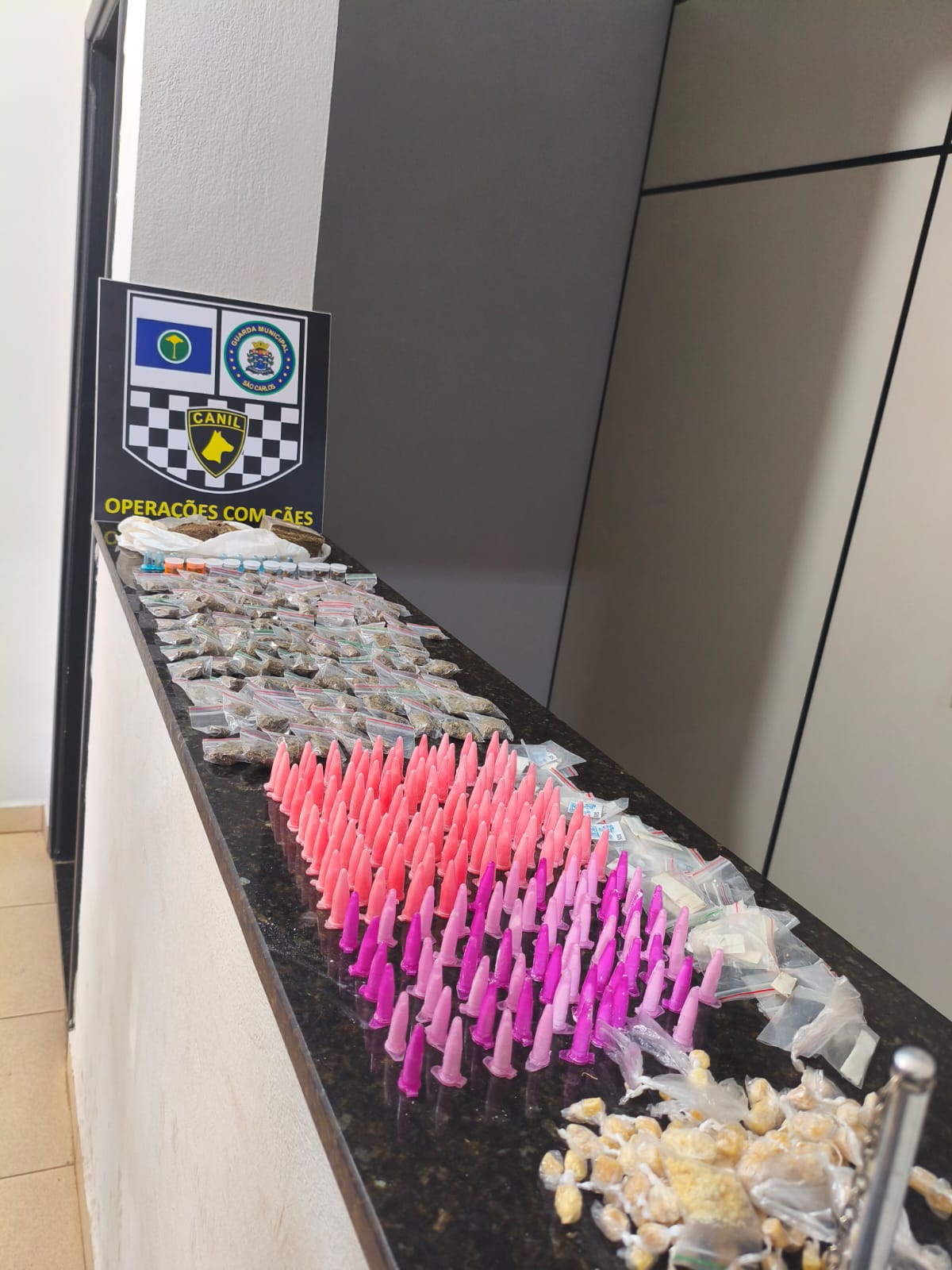 Guarda Municipal de São Carlos localiza grande quantidade de entorpecentes em área de preservação no Jockey Club