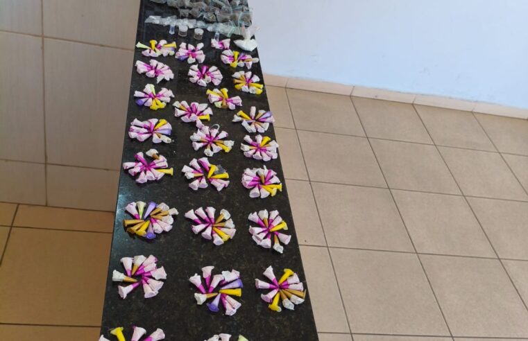 GCM de São Carlos apreende grande quantidade de drogas com apoio da K9 Índia