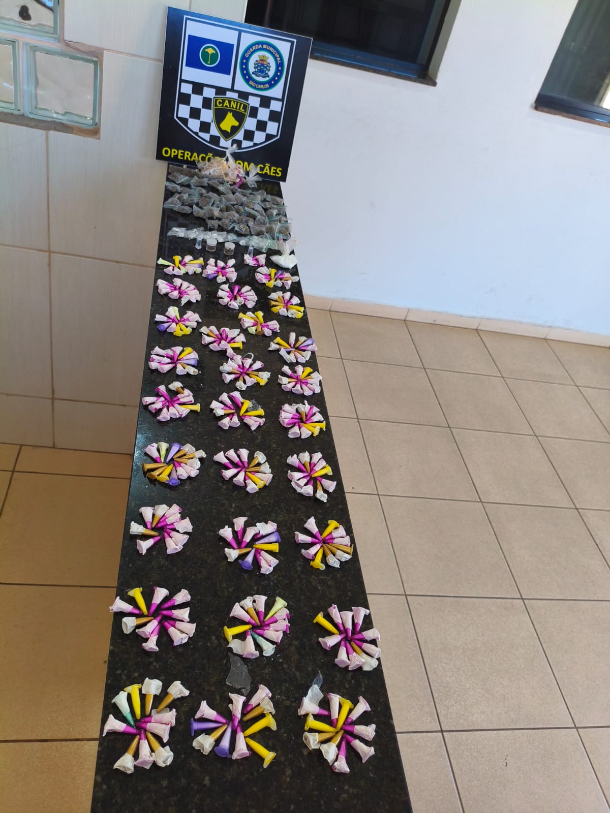 GCM de São Carlos apreende grande quantidade de drogas com apoio da K9 Índia