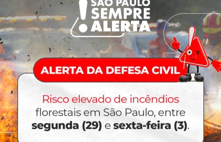 Defesa Civil alerta para risco elevado de incêndios em São Paulo