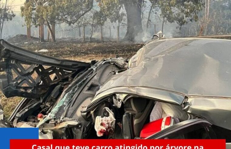 Tragédia na Rodovia Washington Luís: Jovem sobrevive e marido morre após acidente com árvore em chamas
