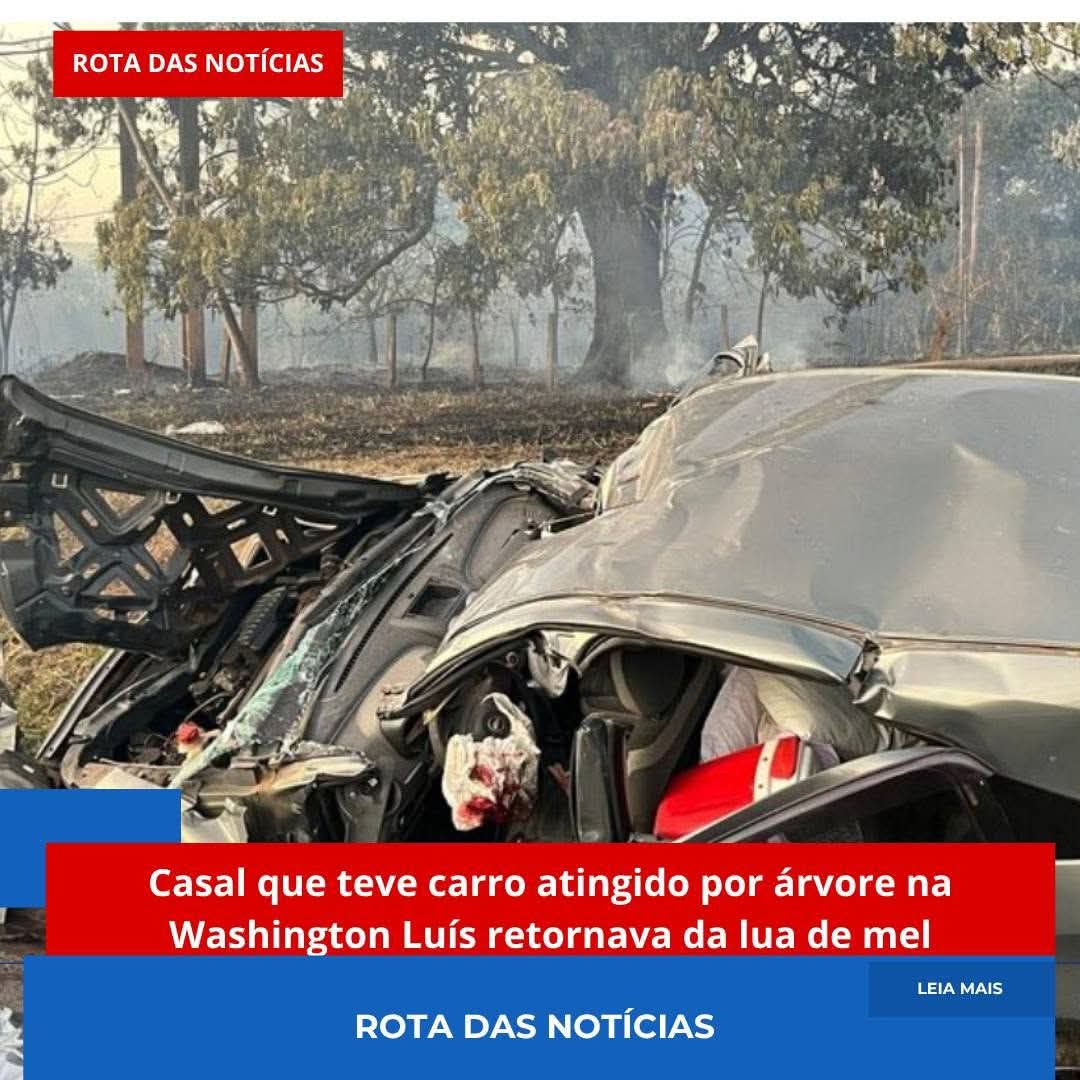 Tragédia na Rodovia Washington Luís: Jovem sobrevive e marido morre após acidente com árvore em chamas