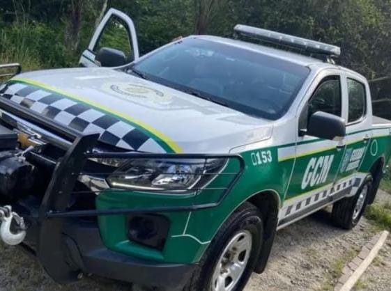 GCM apreende 130 quilos de carne de javali e aves silvestres em São Carlos