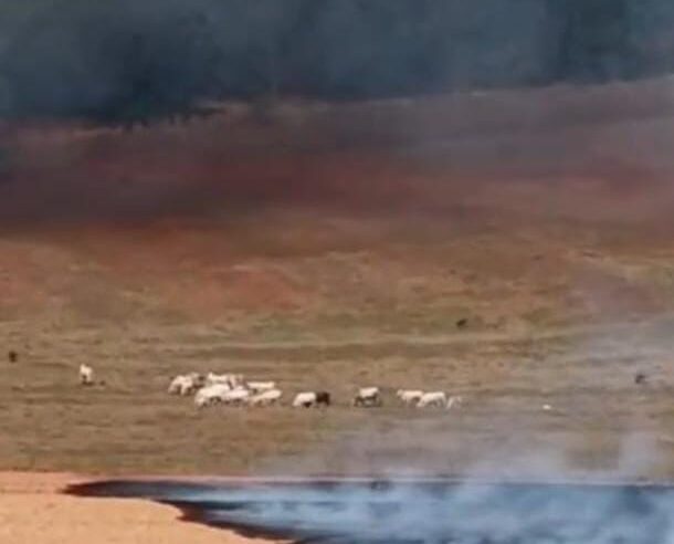 Incêndio de grandes proporções atinge canavial na antiga estrada da Babilônia em São Carlos
