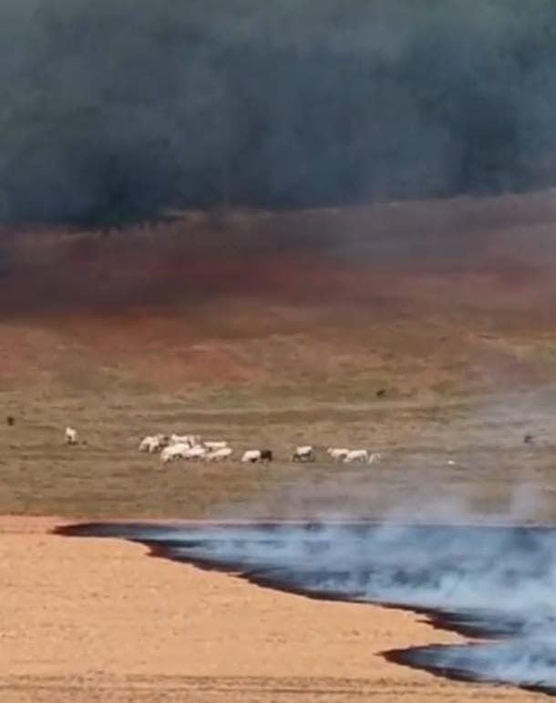 Incêndio de grandes proporções atinge canavial na antiga estrada da Babilônia em São Carlos