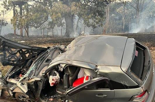 Casal que teve carro atingido por árvore na Washington Luís retornava da lua de mel
