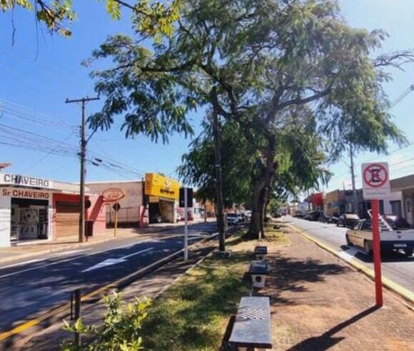 Mais de 40 luminárias são furtadas do canteiro central da Rua Larga, em São Carlos