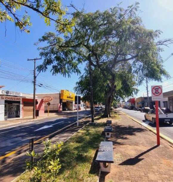 Mais de 40 luminárias são furtadas do canteiro central da Rua Larga, em São Carlos