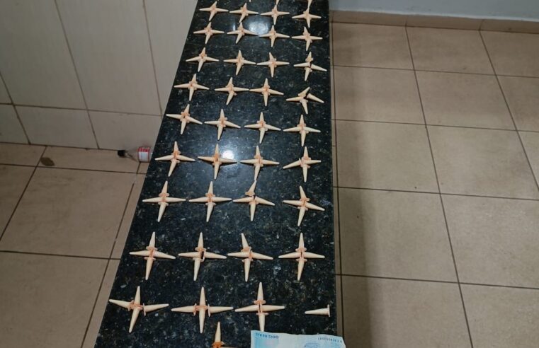 Guarda Municipal prende jovem por tráfico de drogas no Jardim Jockey Club em São Carlos