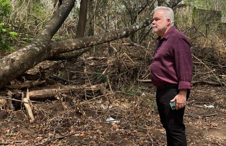 Vereador Lineu de São Carlos solicita revegetação de área afetada por obra de esgoto no Córrego Gregório