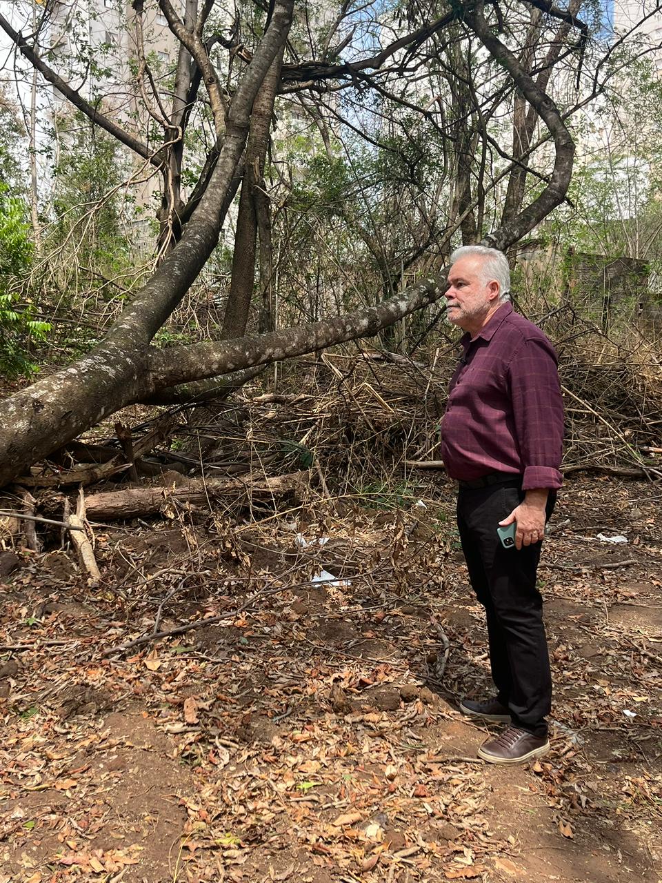 Vereador Lineu de São Carlos solicita revegetação de área afetada por obra de esgoto no Córrego Gregório