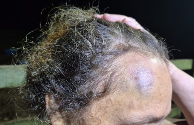 Guarda Municipal de São Carlos prende homem por violência doméstica na zona rural