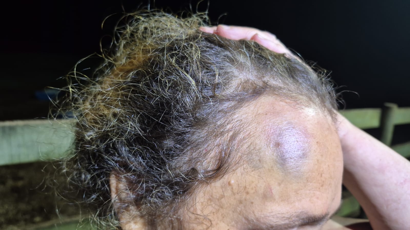 Guarda Municipal de São Carlos prende homem por violência doméstica na zona rural