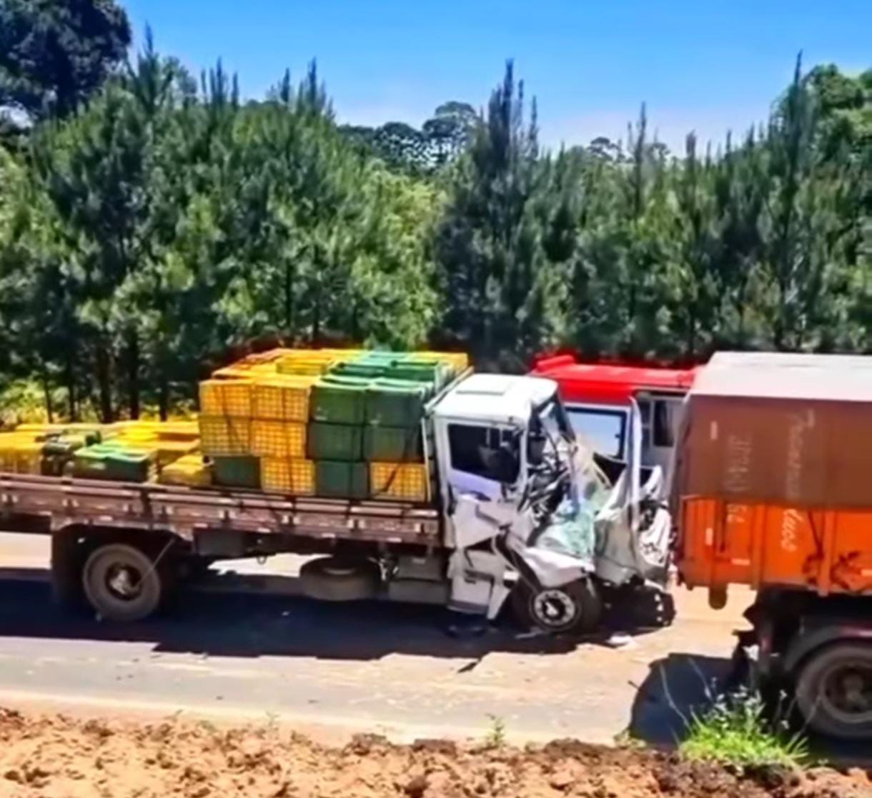 Tragédia em Curitiba: criança morre em acidente e socorristas se emocionam após tentativas de reanimação