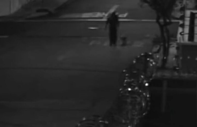 Vereador aciona Polícia Civil após denúncia de maus-tratos a cachorro em São Carlos