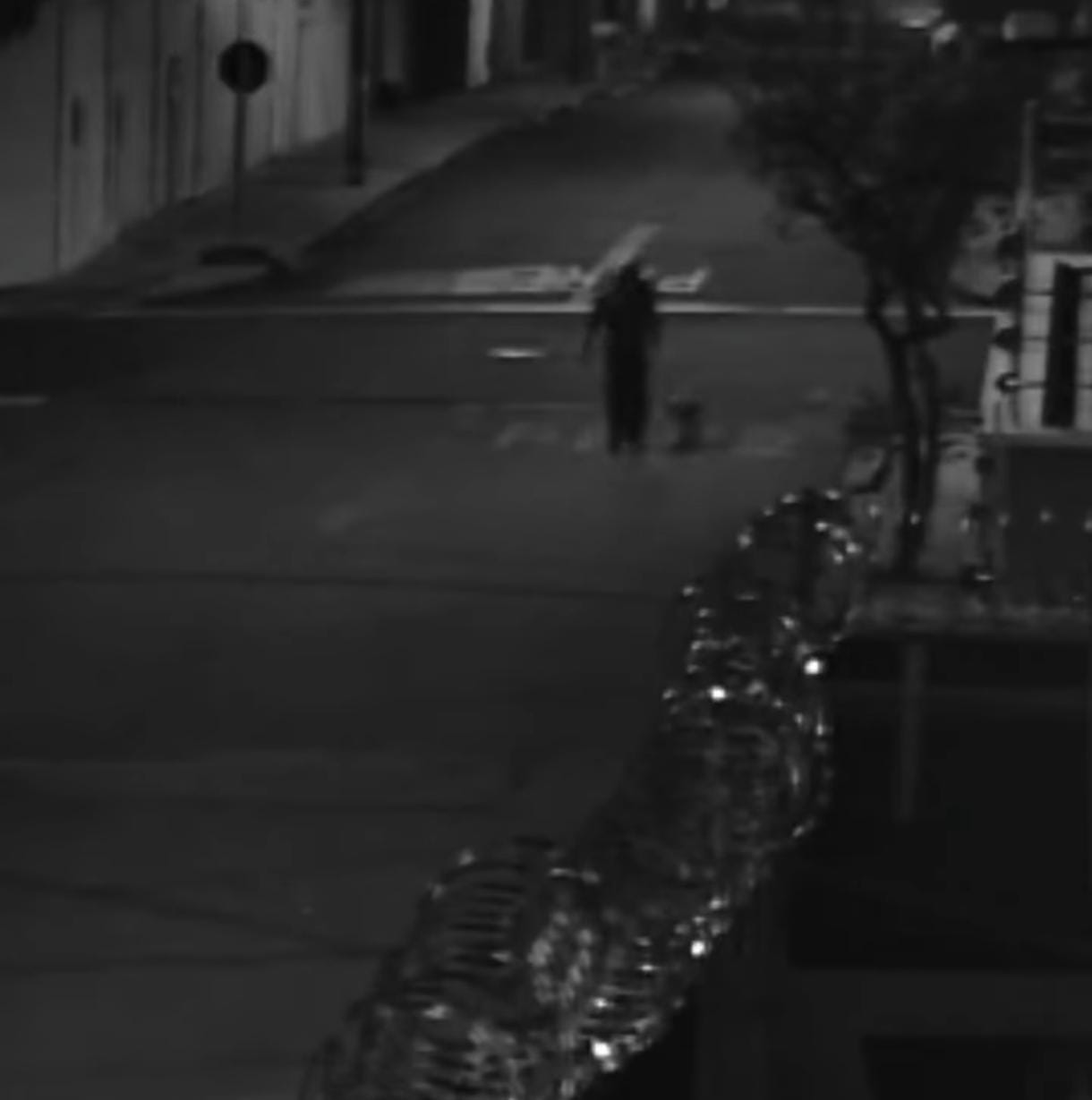 Vereador aciona Polícia Civil após denúncia de maus-tratos a cachorro em São Carlos