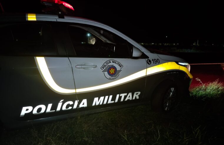 Mulher que morreu atropelada na Rodovia Washington Luís em Ibaté é identificada