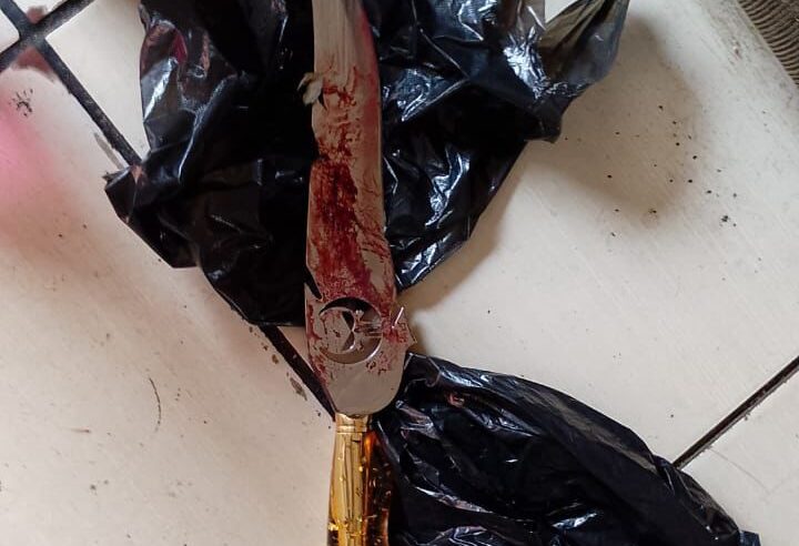 Homem é preso em flagrante após matar cachorro a facadas no Cidade Aracy II, em São Carlos