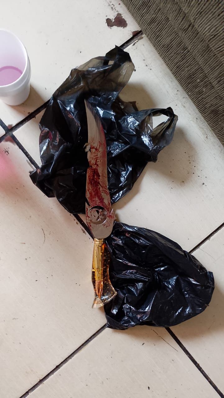 Homem é preso em flagrante após matar cachorro a facadas no Cidade Aracy II, em São Carlos