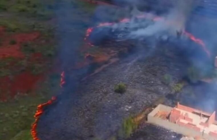 Incêndio de grandes proporções atinge área próxima à SP-318, em São Carlos