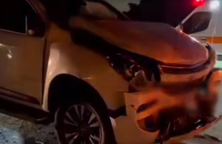 Capivara provoca engavetamento entre três veículos na SP-318, próximo à UFSCar