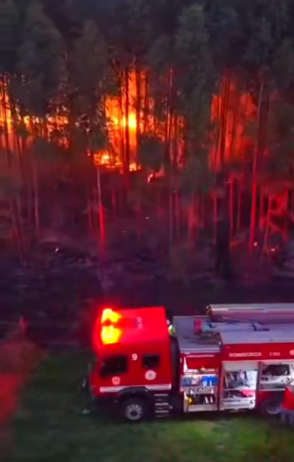 🔥 Incêndio em plantação de eucaliptos mobiliza Bombeiros na região da Havan