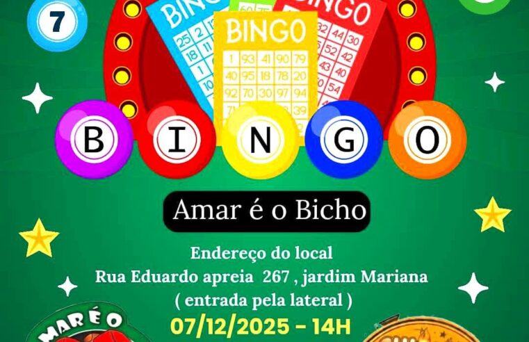 Uma tarde de diversão com propósito: ONG Amar É o Bicho promove Bingo Beneficente neste domingo 🎉🐾