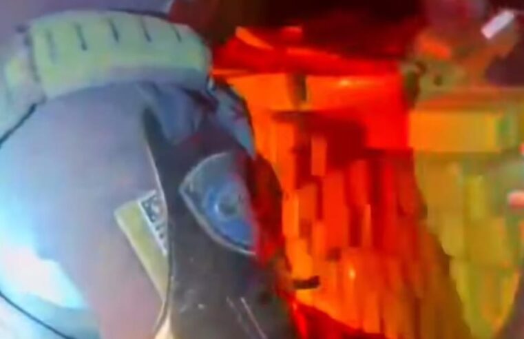 Polícia Rodoviária apreende mais de uma tonelada de maconha durante operação na SP-310, em Mirassol