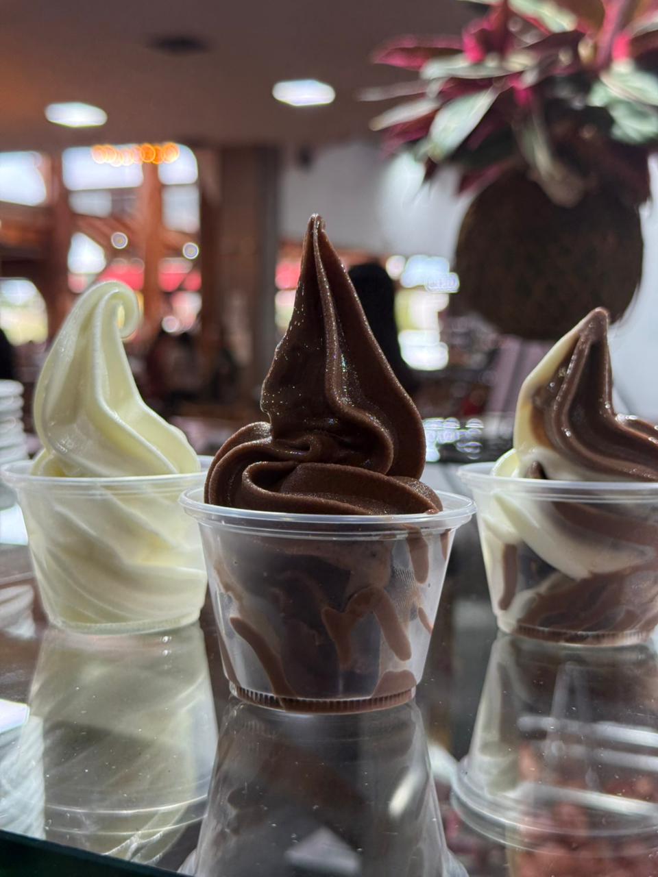 Restaurante Planalto eleva a experiência dos clientes com sorvete à vontade incluso no buffet