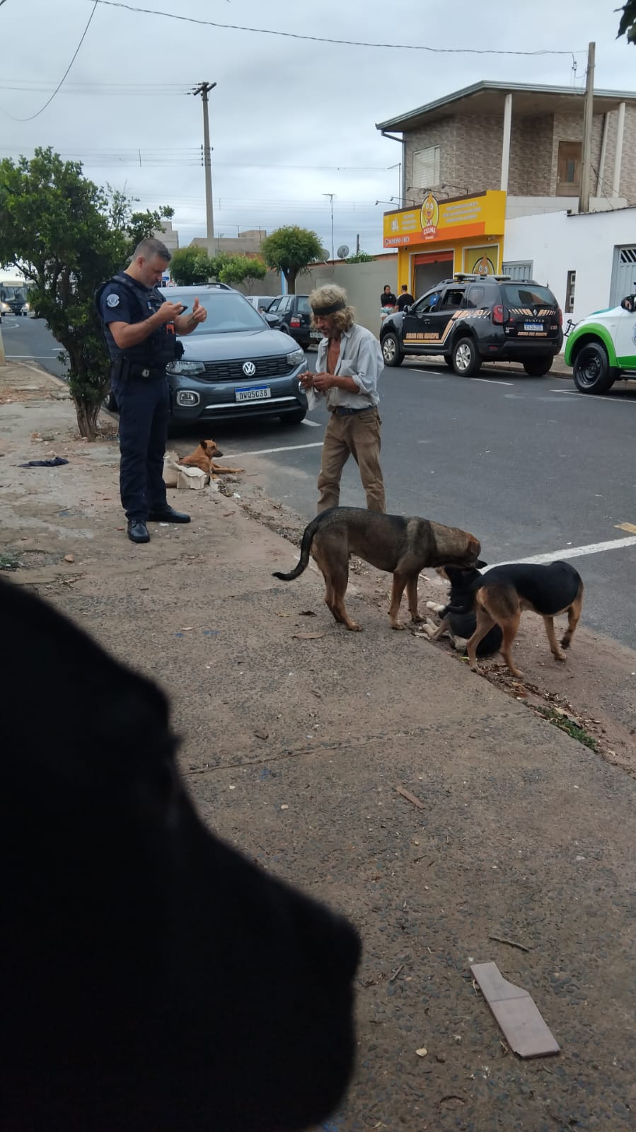 Homem é preso em flagrante por maus-tratos a animais no Jardim Cruzado, em Ibaté