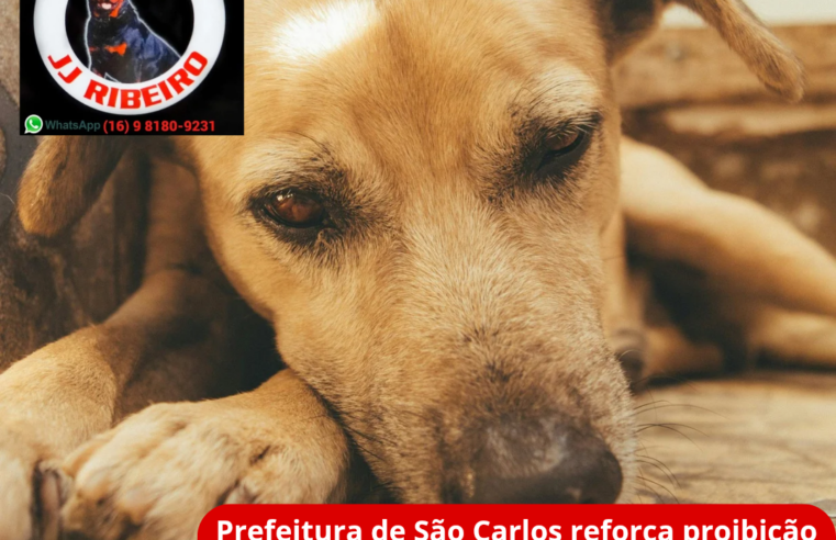 Prefeitura de São Carlos reforça a proibição do uso de fogos de artifício com estampido