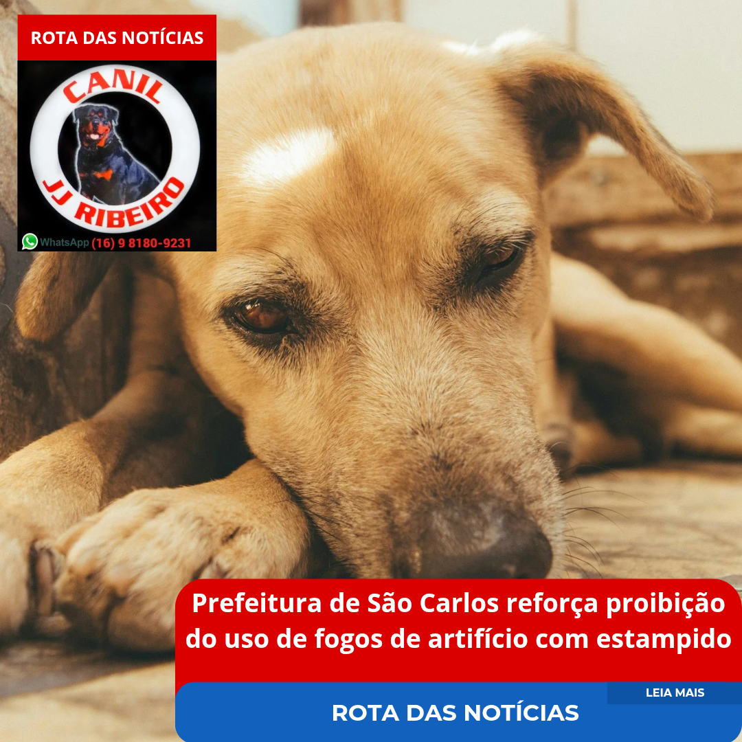 Prefeitura de São Carlos reforça a proibição do uso de fogos de artifício com estampido