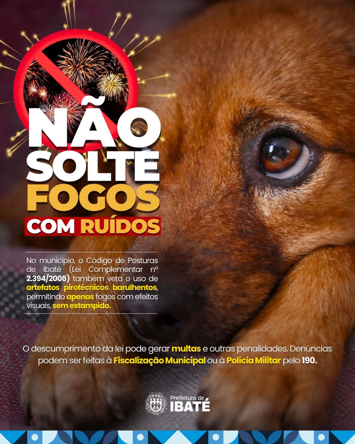 Soltar fogos com barulho não é diversão, é sofrimento para muitos.