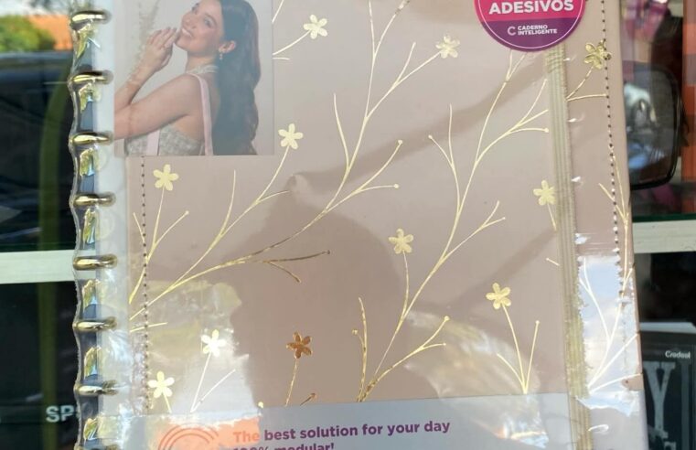 Confira os cadernos inteligentes que acabaram de chegar na Livraria e Papelaria Central 🤍📒