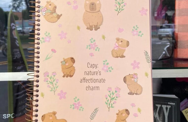 Confira alguns modelos de cadernos de 10 matérias, que temos aqui na nossa loja, um mais lindo que o outro! 😍