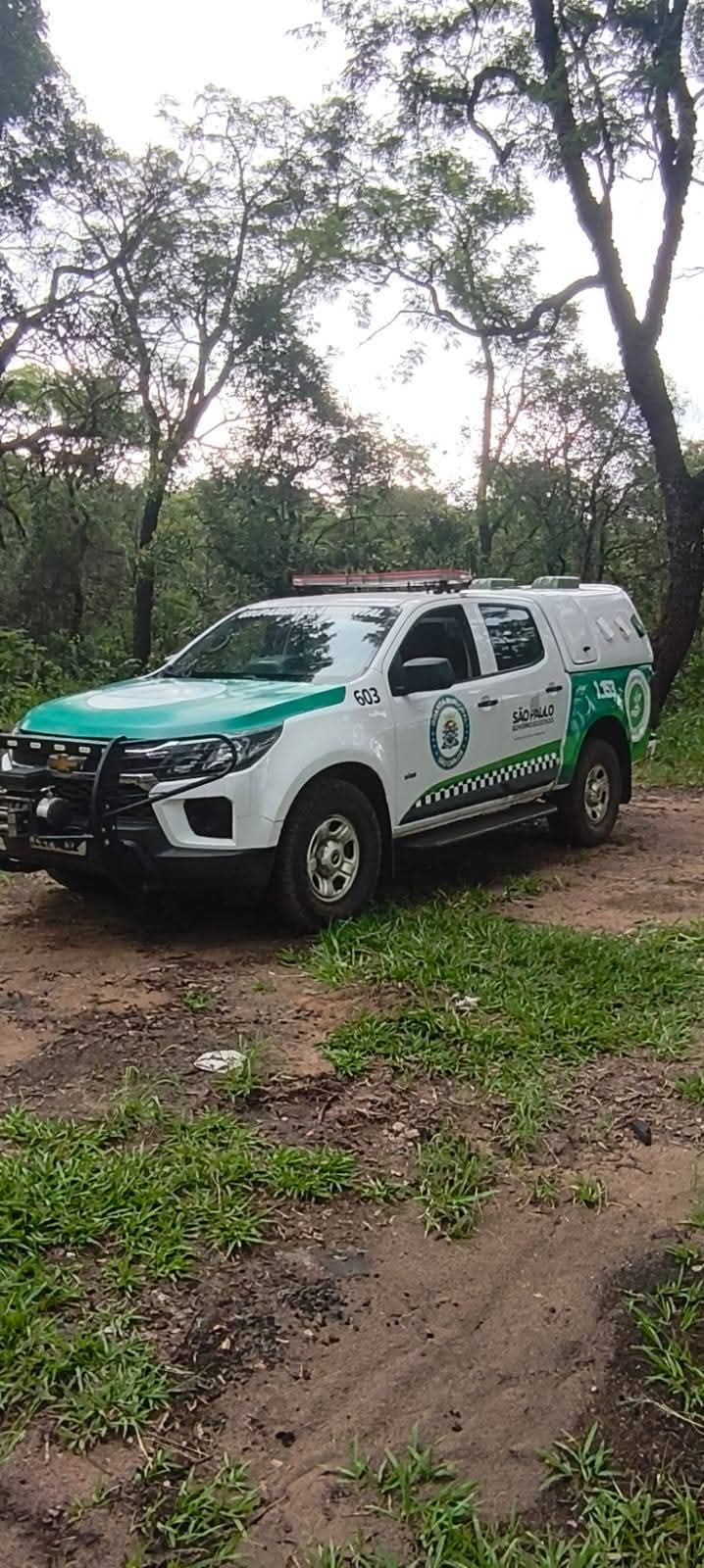 Guarda Municipal de São Carlos localiza veículo roubado em São Carlos