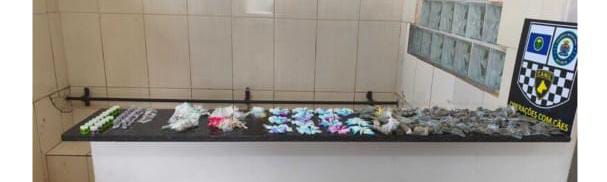 Guarda Municipal apreende grande quantidade de drogas no bairro Santa Angelina