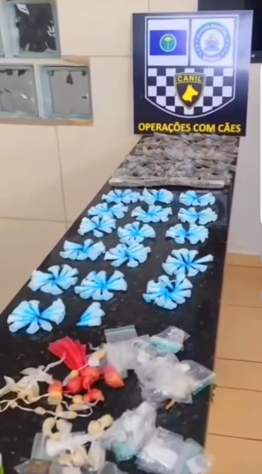 Guarda Municipal prende homem por tráfico de drogas no bairro São Carlos 3