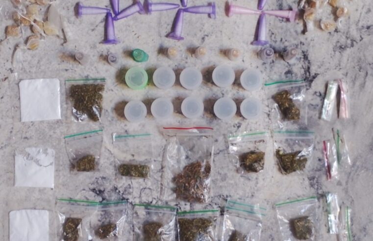 GCM apreende drogas em área de mata no bairro CDHU durante patrulhamento em Ibaté