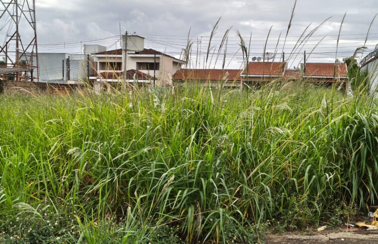 Prefeitura de Ibaté intensifica limpeza de áreas públicas e alerta sobre multas para proprietários de terrenos irregulares