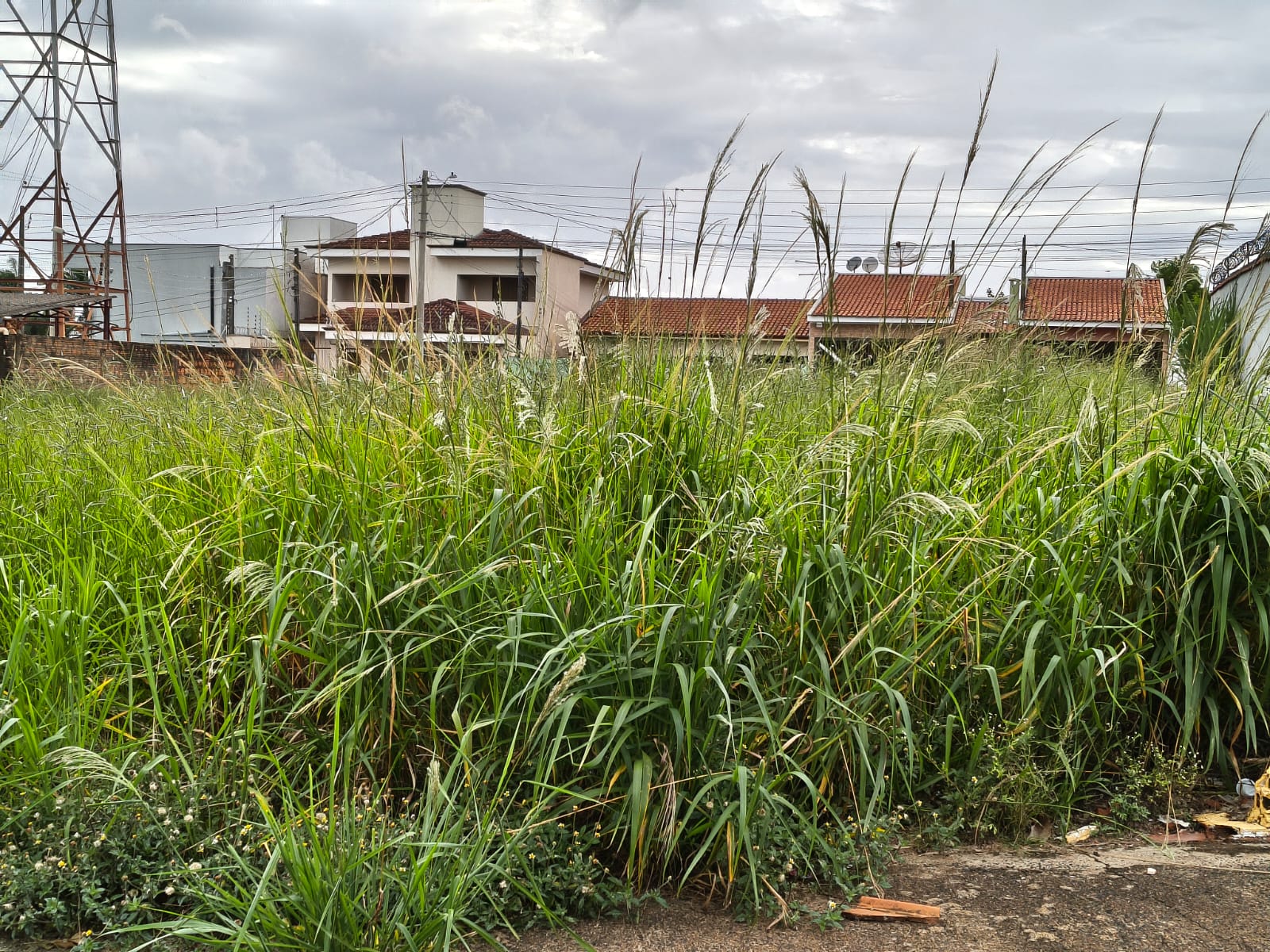 Prefeitura de Ibaté intensifica limpeza de áreas públicas e alerta sobre multas para proprietários de terrenos irregulares