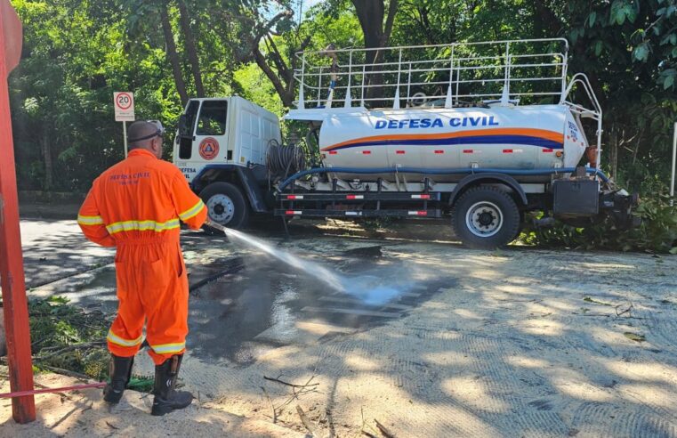 Defesa Civil de Ibaté remove árvore caída no Jardim Menzani